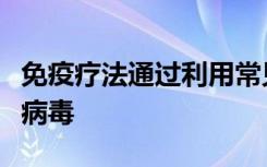 免疫疗法通过利用常见病毒来杀死和杀死艾滋病毒