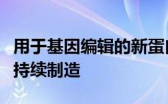 用于基因编辑的新蛋白质可以改善疾病治疗可持续制造