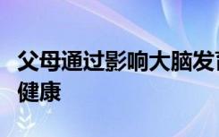 父母通过影响大脑发育来促进儿童晚年的心理健康