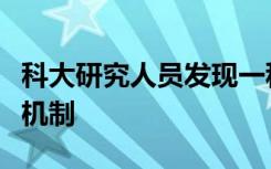 科大研究人员发现一种调节平面细胞极性的新机制