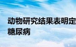 动物研究结果表明定向超声可以有效治疗2型糖尿病