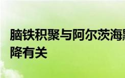 脑铁积聚与阿尔茨海默氏病患者的认知能力下降有关