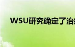 WSU研究确定了治疗痛风的潜在新靶标