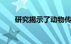 研究揭示了动物传播的社会驱动因素