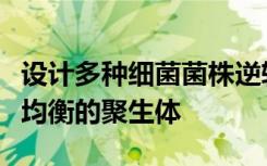 设计多种细菌菌株逆转拮抗相互作用并产生更均衡的聚生体