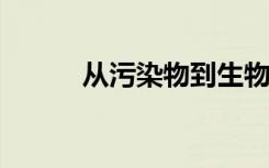 从污染物到生物肥料和生物燃料