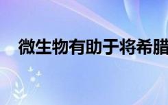 微生物有助于将希腊酸奶废物转化为燃料