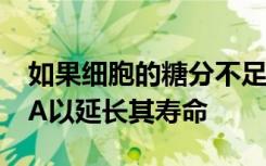 如果细胞的糖分不足它会存储某些地方使RNA以延长其寿命