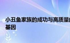 小丑鱼家族的成功与高质量的栖息地联系在一起而不是共享基因