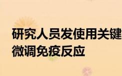 研究人员发使用关键基因修饰调节性T细胞以微调免疫反应