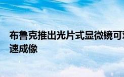 布鲁克推出光片式显微镜可对非常大的光学透明样品进行快速成像