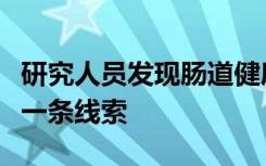 研究人员发现肠道健康如何影响大脑健康的第一条线索