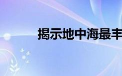 揭示地中海最丰富的微塑料类型