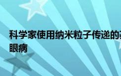 科学家使用纳米粒子传递的基因疗法抑制啮齿动物的致盲性眼病