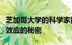 芝加哥大学的科学家揭示了与癌症有关的沃堡效应的秘密