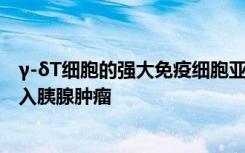 γ-δT细胞的强大免疫细胞亚群如何防止其他抗肿瘤T细胞进入胰腺肿瘤