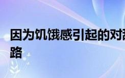 因为饥饿感引起的对甜食的偏爱增加的神经通路