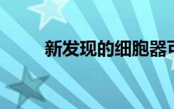 新发现的细胞器可以帮助预防癌症