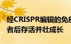 经CRISPR编辑的免疫细胞可在输注至癌症患者后存活并壮成长