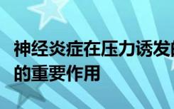 神经炎症在压力诱发的抑郁症中起着出乎意料的重要作用