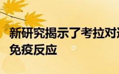 新研究揭示了考拉对逆转录病毒的天然基因组免疫反应