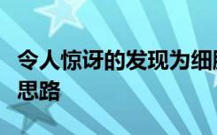 令人惊讶的发现为细胞迁移的发生提供了新的思路