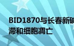 BID1870与长春新碱联合可协同增加中期停滞和细胞凋亡