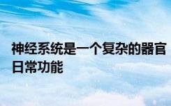 神经系统是一个复杂的器官 它依赖于各种生物来确保人体的日常功能