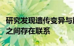 研究发现遗传变异与脑干大小其他皮质下结构之间存在联系