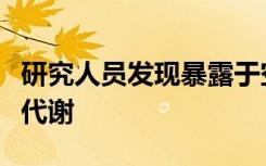 研究人员发现暴露于空气污染会损害细胞能量代谢