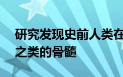 研究发现史前人类在40万年前就吃了罐头汤之类的骨髓