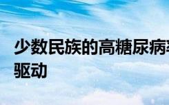 少数民族的高糖尿病率可能受到环境污染物的驱动