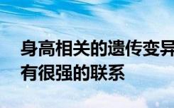 身高相关的遗传变异与人患AFib的风险之间有很强的联系