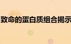 致命的蛋白质组合揭示了病毒感染的新药靶标