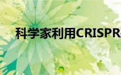 科学家利用CRISPR基因组手术治愈失明