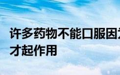 许多药物不能口服因为它们在胃肠道中分解后才起作用