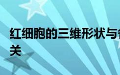 红细胞的三维形状与各种恶性血液疾病密切相关