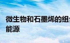 微生物和石墨烯的组合可以制造廉价且环保的能源