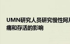 UMN研究人员研究慢性阿片类药物治疗对镰状细胞病的疼痛和存活的影响