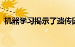 机器学习揭示了遗传因素和行为之间的联系