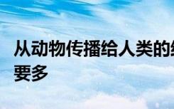 从动物传播给人类的结核病可能比以前想象的要多