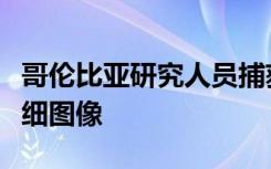 哥伦比亚研究人员捕获了温度感应分子的新详细图像