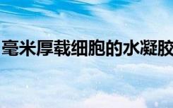 毫米厚载细胞的水凝胶纤维可改善糖尿病小鼠