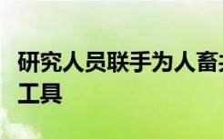 研究人员联手为人畜共患衣原体改编新的遗传工具