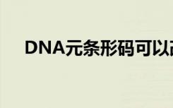 DNA元条形码可以改善人类饮食的分析