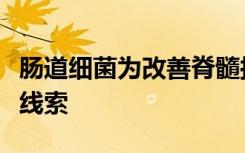 肠道细菌为改善脊髓损伤后的心理健康提供了线索