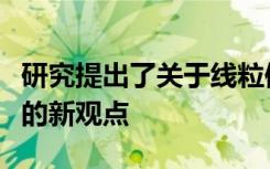 研究提出了关于线粒体功能障碍如何导致衰老的新观点