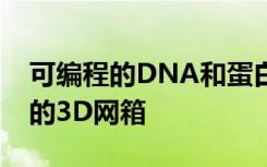 可编程的DNA和蛋白质构建模块创造了新颖的3D网箱