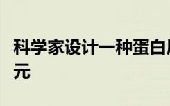 科学家设计一种蛋白质来对抗癌症和再生神经元