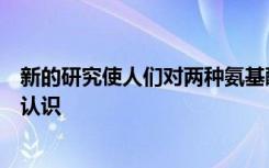 新的研究使人们对两种氨基酸在代谢健康中的作用有了新的认识